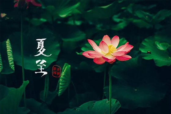 夏至|愿所有期許，如約而至